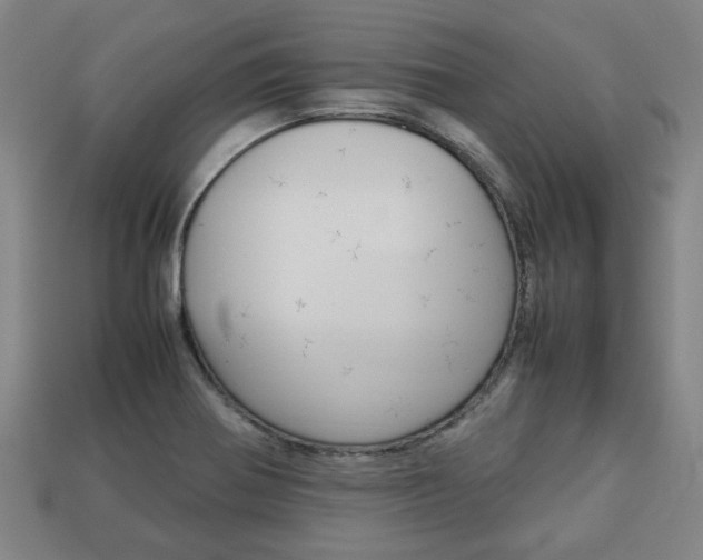 X0000113781370200909231032