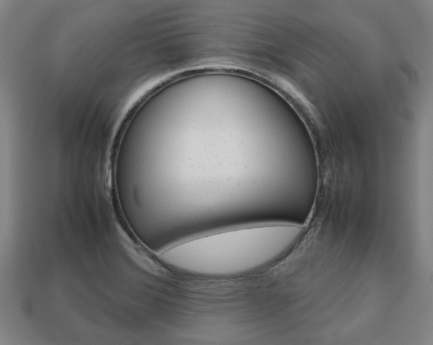 X0000113781372200909231032