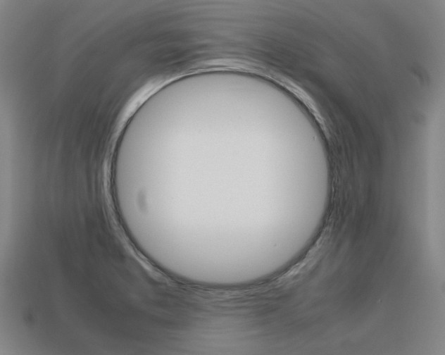 X0000113781373200909231032