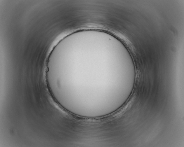X0000113781374200909231032