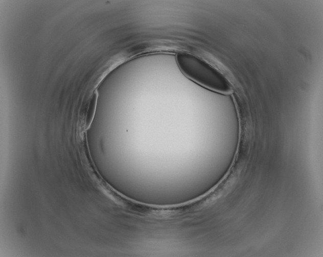 X0000113781377200909231032