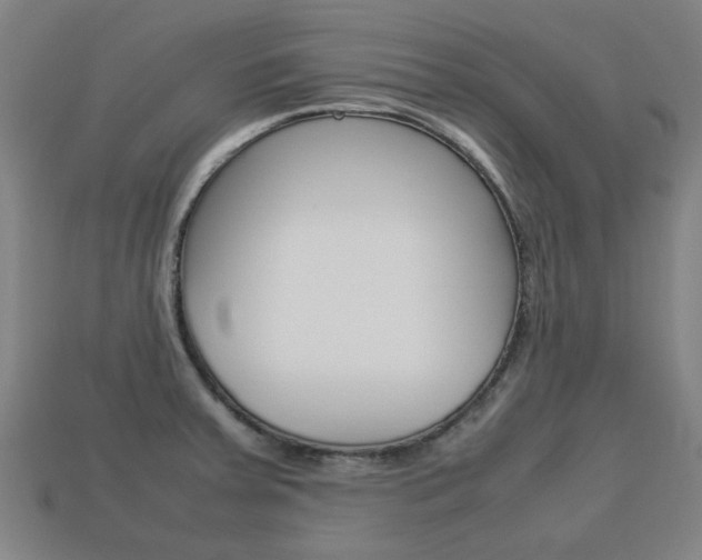 X0000113781379200909231032