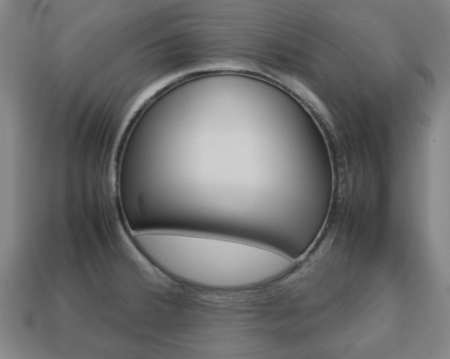 X0000113781380200909231032