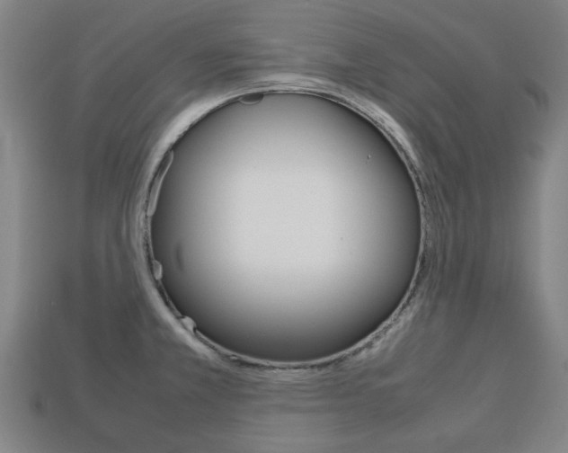 X0000113781381200909231032
