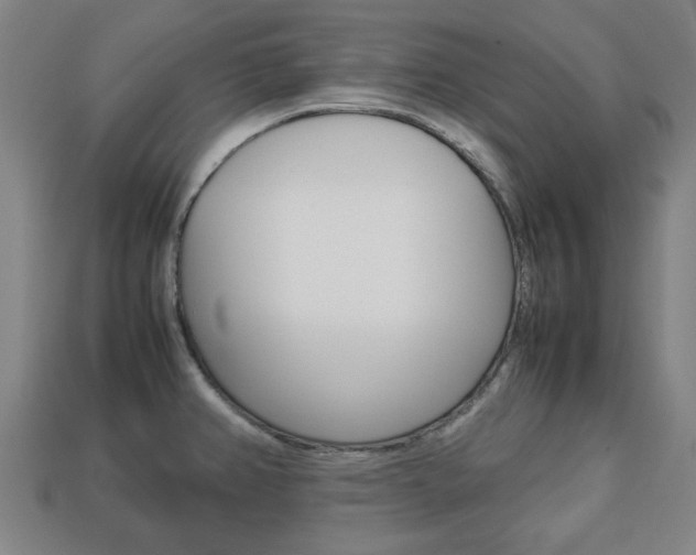 X0000113781382200909231032