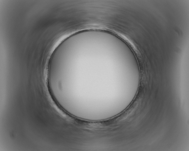 X0000113781383200909231032