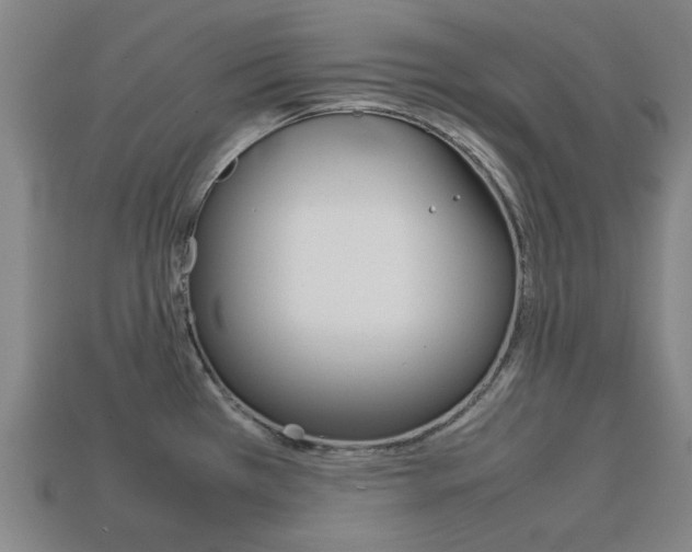 X0000113781385200909231032