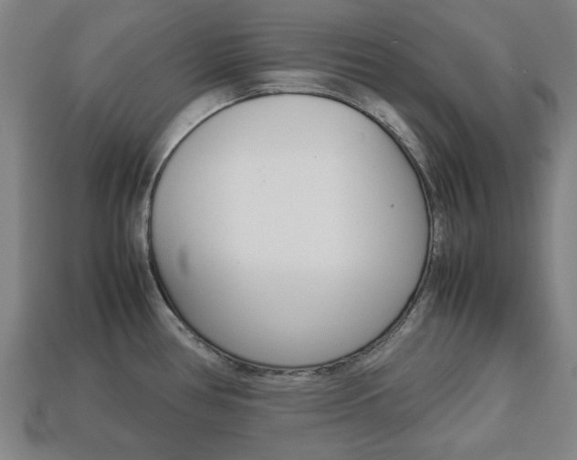 X0000113781386200909231032