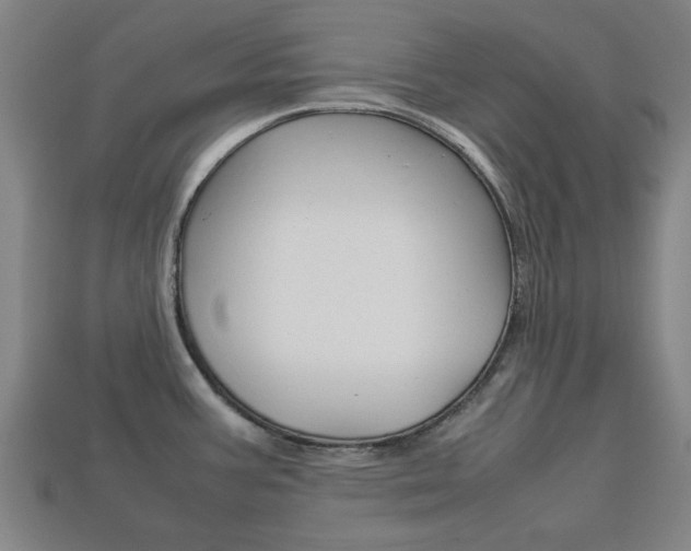 X0000113781387200909231032