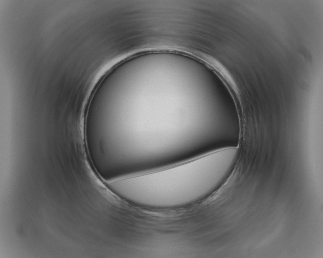 X0000113781388200909231032