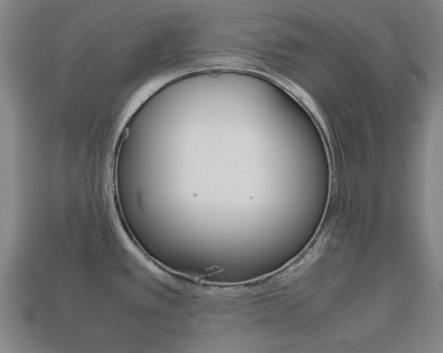 X0000113781389200909231032