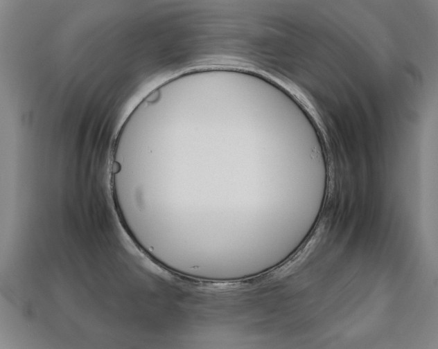 X0000113781390200909231032