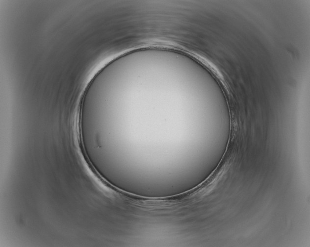 X0000113781391200909231032