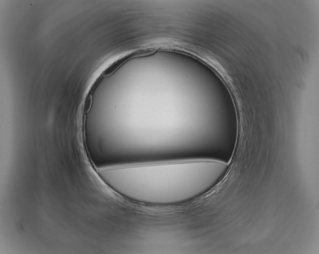X0000113781392200909231032