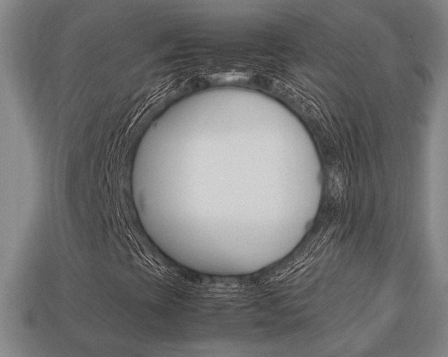X0000113781393200909231031