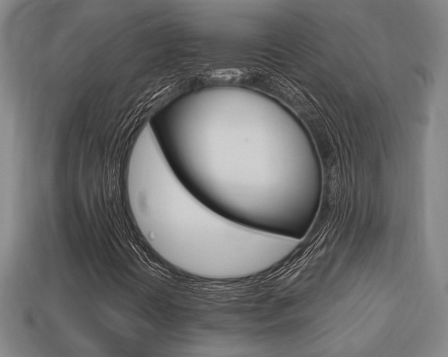 X0000113781394200909231031