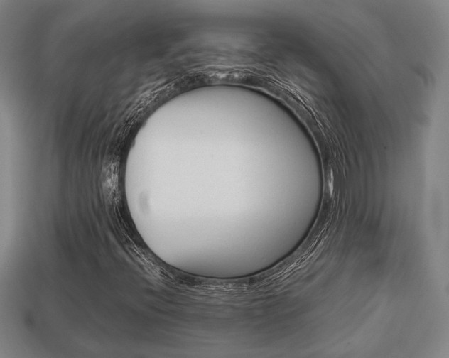 X0000113781396200909231031