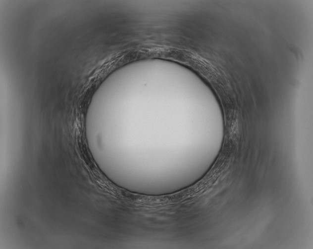 X0000113781397200909231031