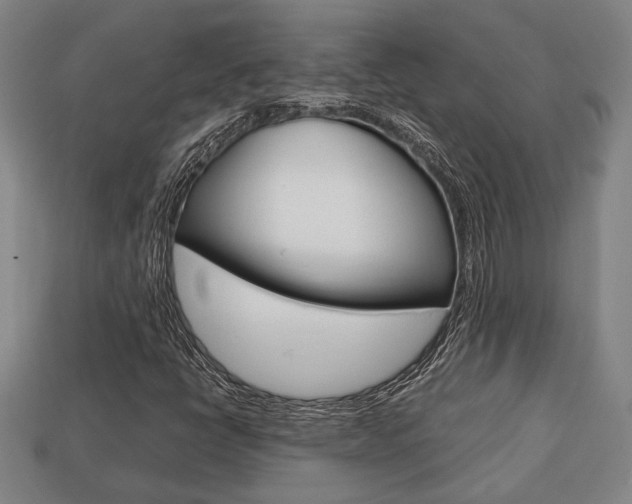 X0000113781398200909231031