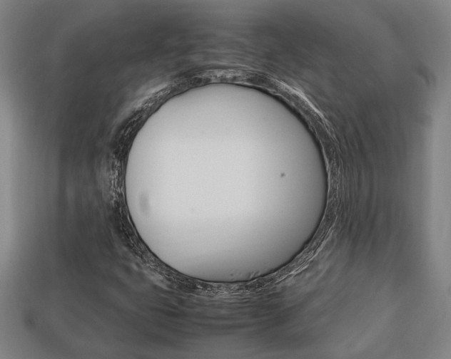 X0000113781399200909231031