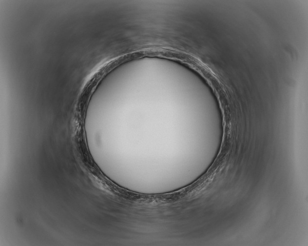 X0000113781400200909231031