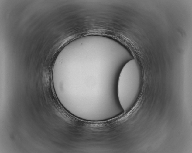 X0000113781401200909231031