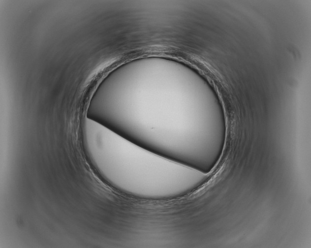 X0000113781402200909231031