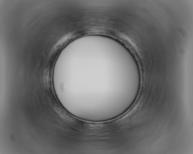 X0000113781403200909231031