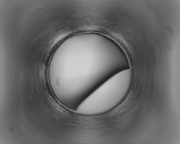 X0000113781404200909231031