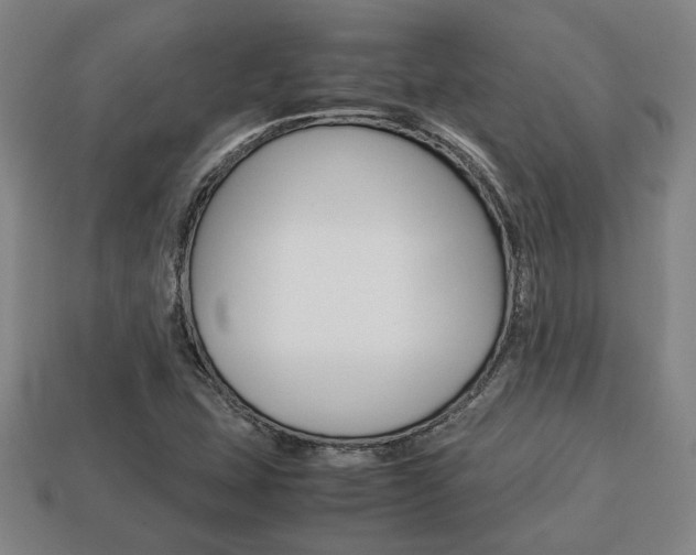 X0000113781407200909231031