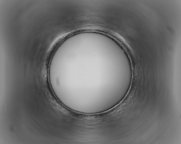 X0000113781408200909231031