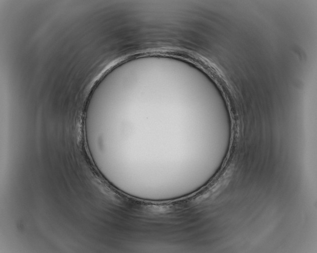 X0000113781409200909231031