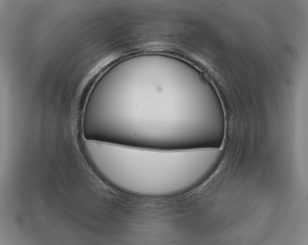 X0000113781410200909231031