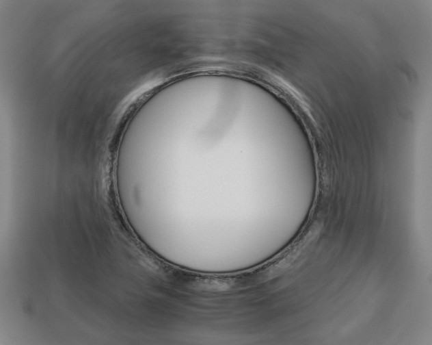 X0000113781411200909231031