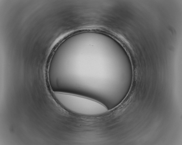 X0000113781412200909231031