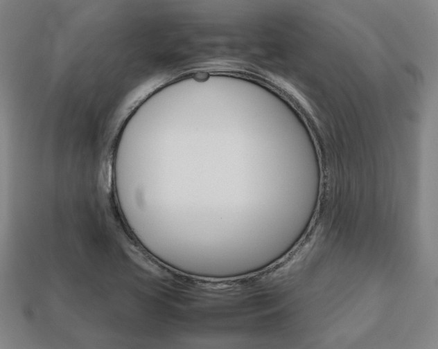 X0000113781413200909231031