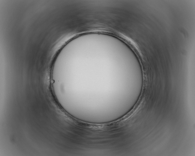 X0000113781415200909231031