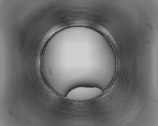 X0000113781419200909231031