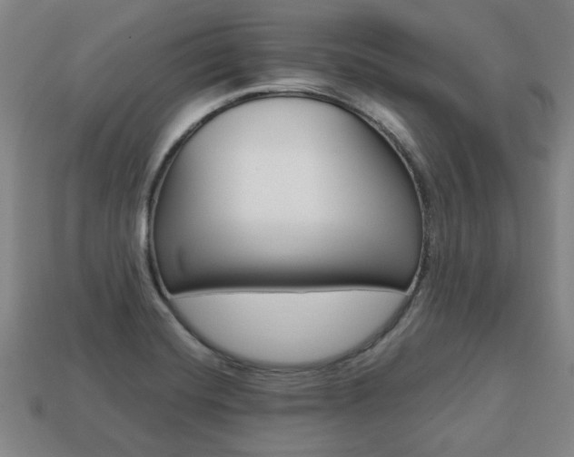 X0000113781420200909231031