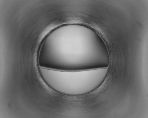 X0000113781422200909231032
