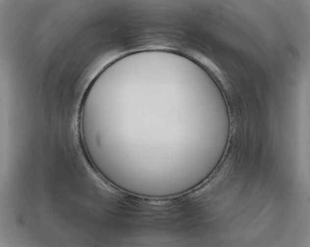 X0000113781423200909231032
