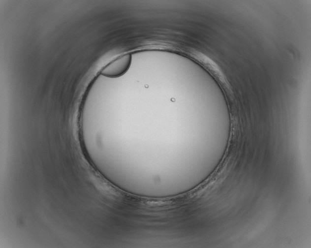 X0000113781427200909231032