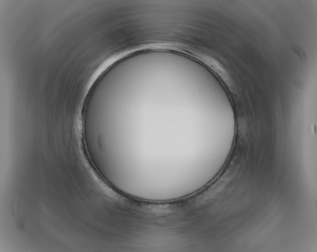 X0000113781428200909231032