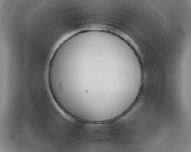 X0000113781429200909231032