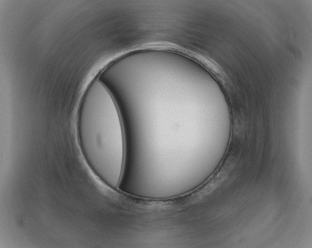 X0000113781430200909231032