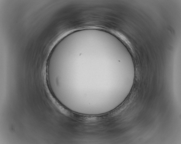 X0000113781431200909231032