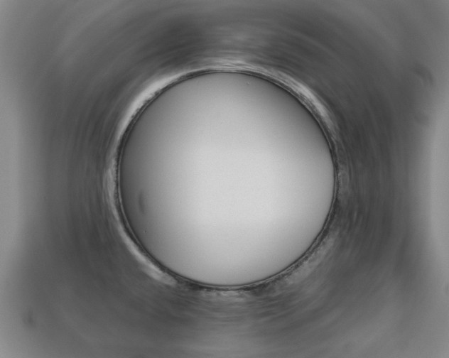 X0000113781432200909231032