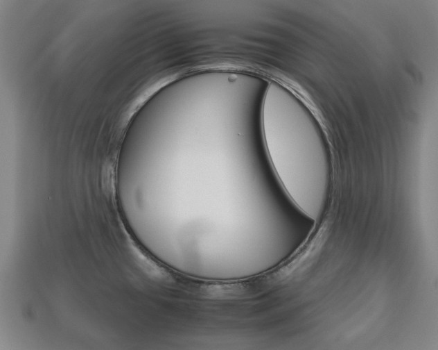 X0000113781433200909231032