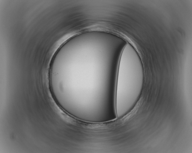 X0000113781434200909231032
