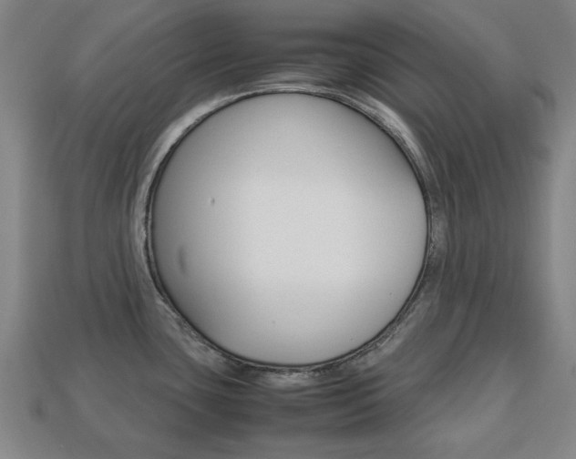 X0000113781435200909231032